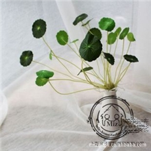 禅意空间装饰物仿真绿植幸运草铜钱草