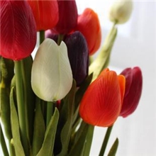 多色时尚百搭高仿真花pu手感质感材料单支郁金香小号