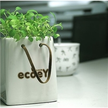 创意小盆栽陶瓷纸袋-心形草电脑周边盆景