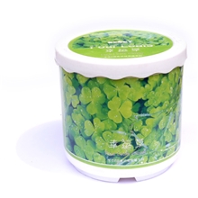 ECOEY新奇特植栽罐DIY创意植物幸运草小盆栽厂家直销