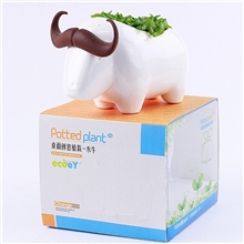 办公室创意盆栽犀牛/水牛/大象DIY种植懒人盆栽礼品定制