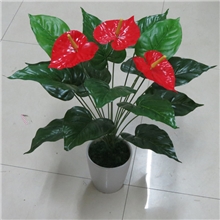 18叶红掌盆景仿真植物批发装饰节庆用品一品红