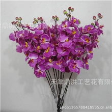 【品质优越】单支蝴蝶兰仿真花卉加工仿真花卉仿真花卉