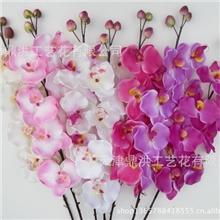 【价钱公道】加工仿真花卉单支蝴蝶兰仿真花卉仿真花卉
