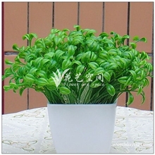家居装饰仿真植物豆芽苗1扎10根