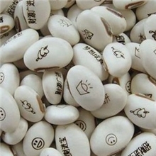 地摊好货源新奇特产品魔豆批发神奇白魔豆种子可定做LOGO礼品