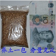 供应魔豆植物专用营养土花草幼苗营养培育神奇魔土介质肥料