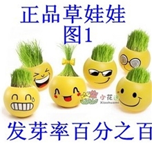 陶瓷微型小盆栽盆景长草头娃娃旺旺表情炫酷表情青草种植批发