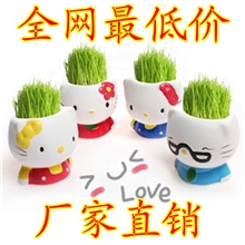 长草头娃娃小盆景批发Kitty猫创意卡通植物小摆件盆栽好礼品