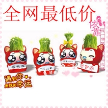 阿狸DIY长草头娃娃办公室桌面卡通小盆栽迷你植物淘气郎植栽