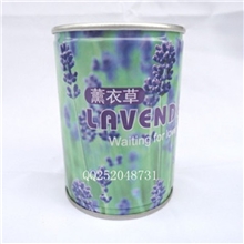 易拉罐花卉-薰衣草铁罐办公室种植室内种植迷你植物