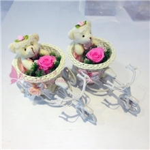 保鲜花--追恋原价60元现最低35