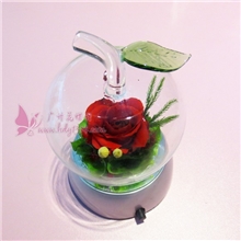 永生花礼物鲜花礼物苹果永生花礼品苹果1花