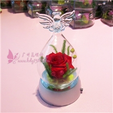 永生花--天使瓶1花