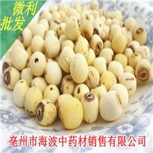 优质供应超低价白莲子带芯莲子去芯莲子补脾止泻养心安神