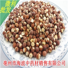 大货供应优质广东芡实大粒新鲜香味扑鼻货真价实支持验货