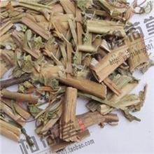 批发解酒护肝赶黄草赶黄草茶古家赶黄草养肝茶精选四川赶黄草