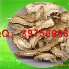 批发中药材中药饮片岷县当归