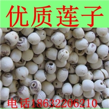 供应各种药食两用中药材中药饮片莲子白莲子