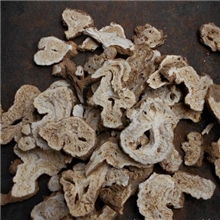 中药材批发生白术炒白术白术个子