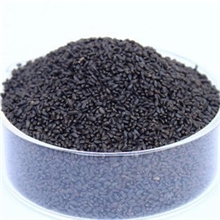 批发供应优质名列子/明列子/罗勒籽/兰香子消脂美容塑身量大从优