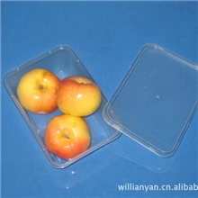 厂家直供650ml一次性快餐盒