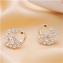 进口捷克钻精品耳环个性饰品批发孔雀造型经典热卖包邮混批