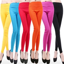 秋冬韩国女士打底裤批发女装九分裤糖果色弹力铅笔裤@纯棉高腰015
