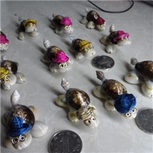 海螺贝壳工艺品小礼品创意带眼镜小乌龟博士批发地摊热卖新品摆件