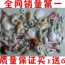 创意地摊热销新品海螺挂件批发手机小礼品物钥匙扣热卖贝壳小挂件