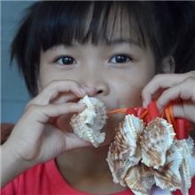 天然海螺贝壳工艺品小吹螺挂件号角吹响口哨批发地摊新品热卖玩具