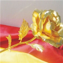 批发销售金箔玫瑰花情人节礼品送老婆女友