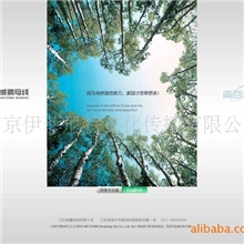 网页设计网站设计网站首页网站形象设计