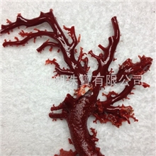 台灣珊瑚阿卡海景工廠直營批發(收藏，拍賣，送禮，傳家寶)