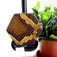 苏州二胡批发。乐悠琴业。香红木二胡。拉弦乐器。二胡厂家直销