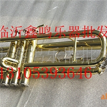 天津津宝乐器普及小号JBTR-300高级JBTR-410铜管吹奏乐器、