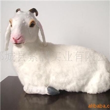 供应仿真卧山羊,绵羊