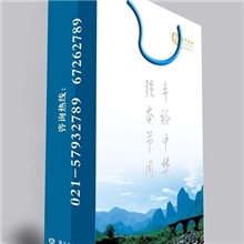 礼品袋购物袋手提袋纸袋