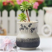 爱家惠儿韩国花盆多肉花盆手工陶瓷花盆超萌