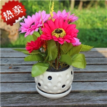 2013年网络热销爆款迷你仿真非洲野菊花盆景假花桌面迷你小盆景