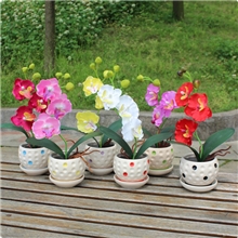 蝴蝶兰小盆景办公桌小盆景仿真小盆景绢花小盆景车载盆景