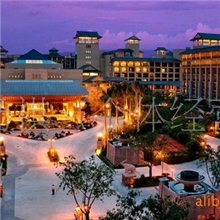 广州酒店广州野生动物园长隆酒店标准间1-3月