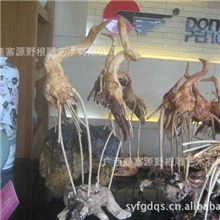 批发供应根雕仙鹤鸟B--121229--01