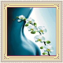 5046美人如花钻饰艺术5D免烫系列，钻石画最新技术工艺。