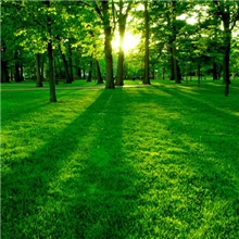 山水壁画，风景画，壁纸壁画