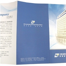 厂家供应印刷A4彩页A3彩页单张三折页DM单张彩色印刷海报