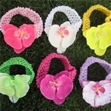 春夏款针织气质花边发带（混批）FTAD-02451