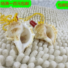 包邮儿童小学生小孩最爱的海螺口哨女生随身携带义乌2元店