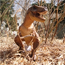 法国papo正品暴龙高仿恐龙模型玩具侏罗纪公园道具霸王龙玩具批发