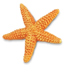 仿真动物模型美国Safari正品海星黄色星鱼仿真海洋生物模型玩具